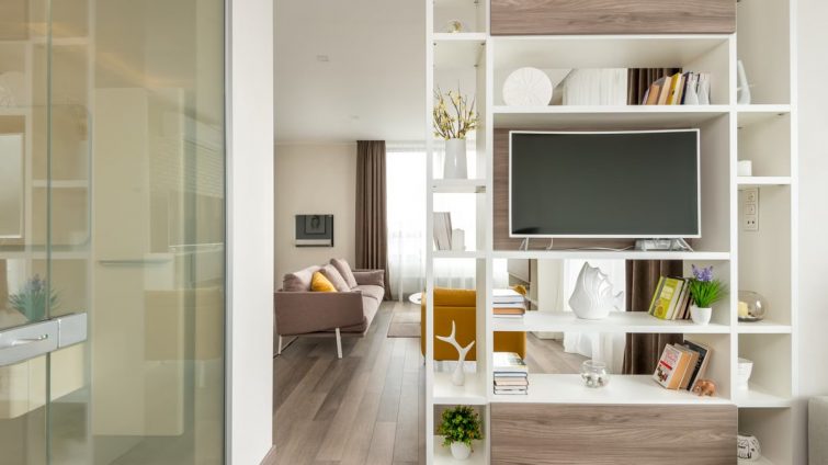 Interior of modern flat with comfortable furniture and wooden shelves with books and television set